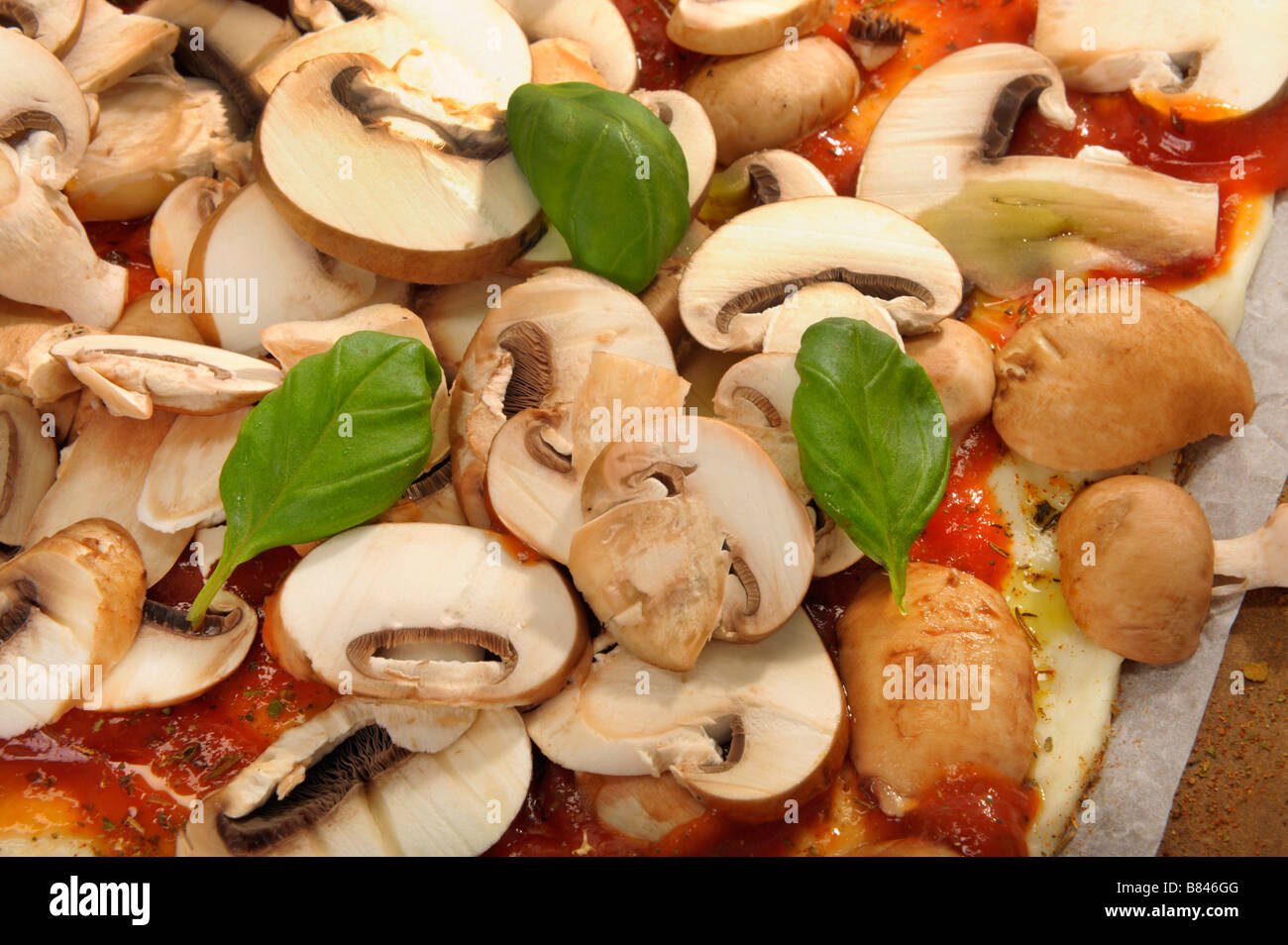 Pizza funghi funghi al pomodoro e basilico champignon basilikum cucinare impasto base salsa formaggio mozzarella erbe cucina fresca di cottura degli alimenti Foto Stock