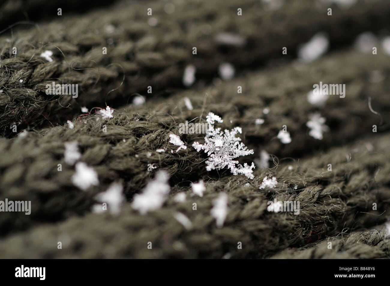Close-up di un fiocco di neve Foto Stock