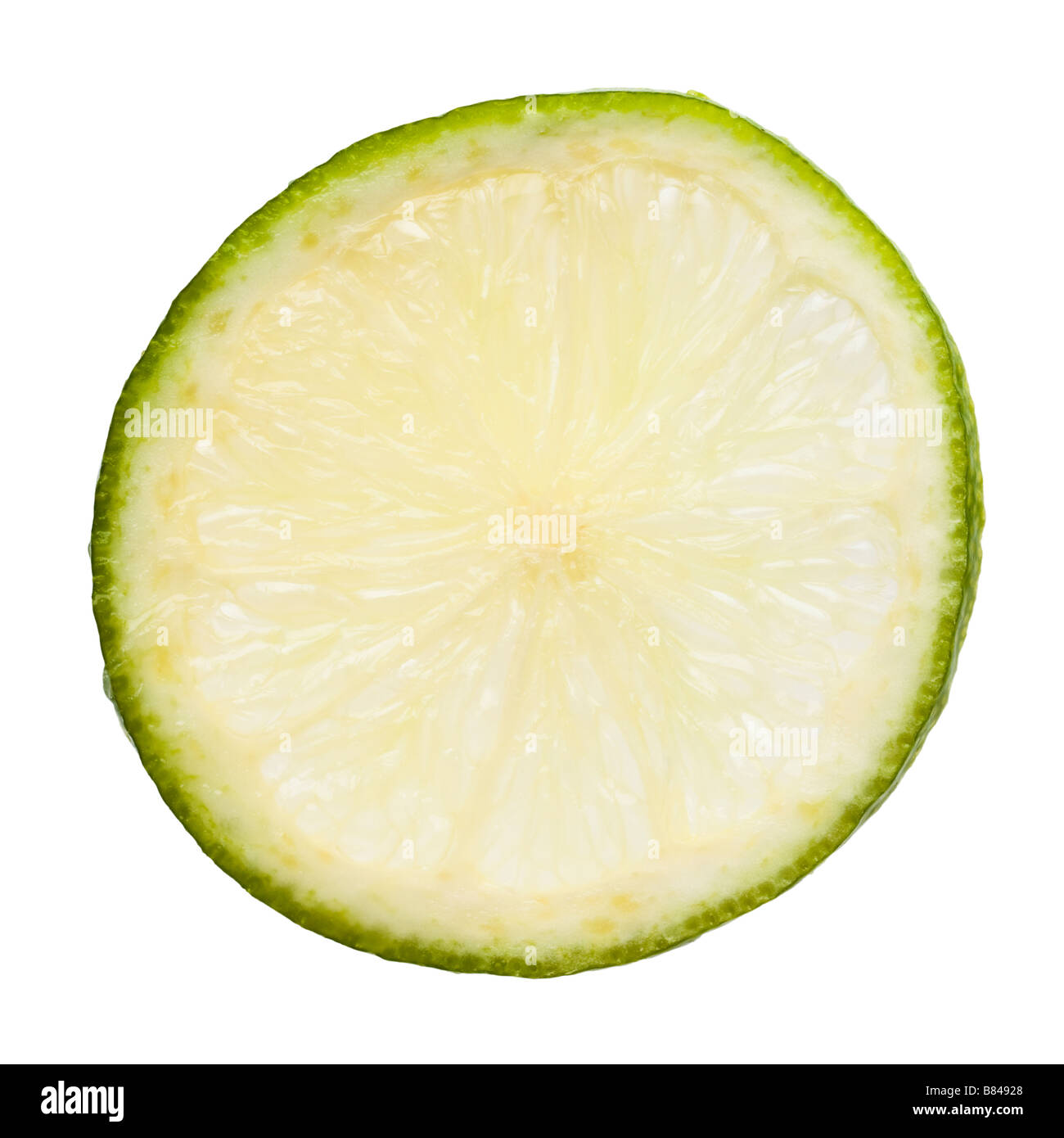Fetta di limone su bianco closeup Foto Stock