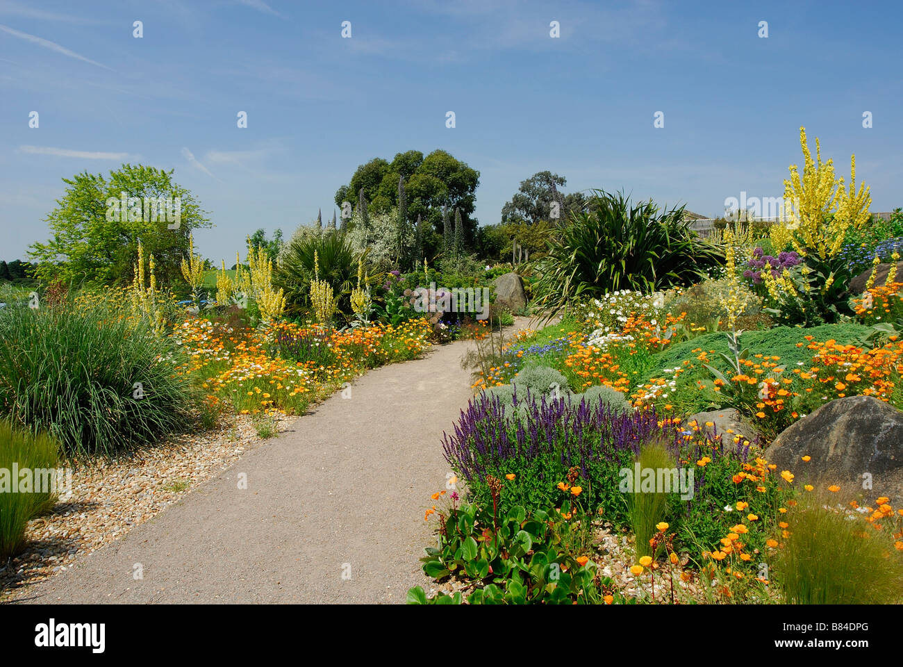 Giardino secco Hyde Hall Essex REGNO UNITO Foto Stock