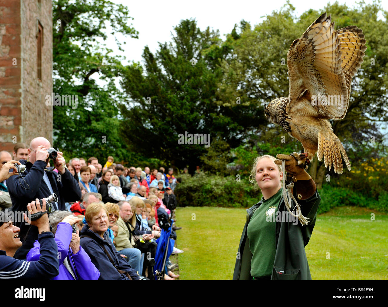 La folla guarda il gufo europeo display Gufo Reale Bubo bubo e gestore di falconeria al World Owl Trust Muncaster Castle Cumbria Foto Stock