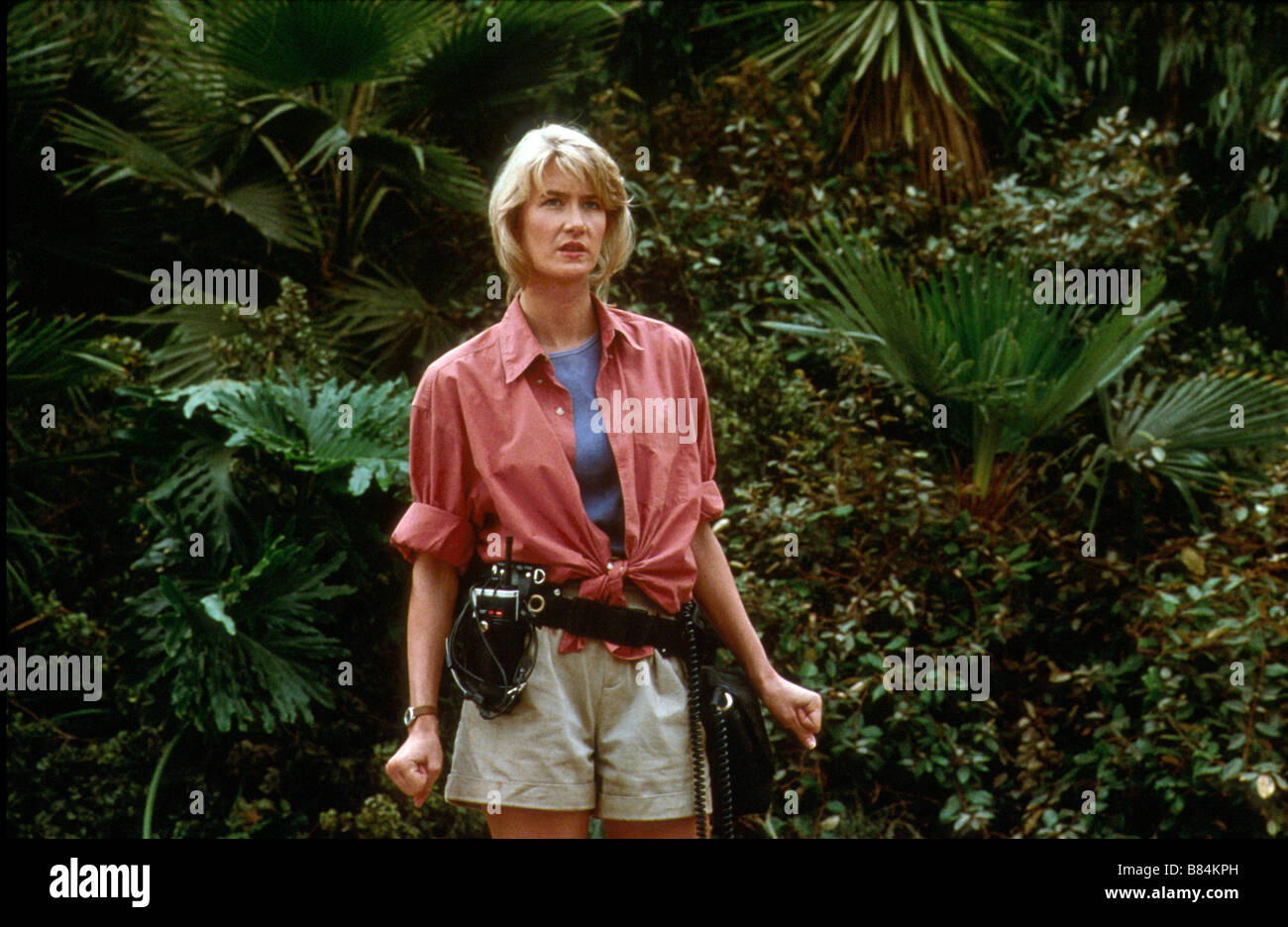 Jurassic Park Anno : 1993 USA Direttore : Steven Spielberg Laura Dern Foto Stock