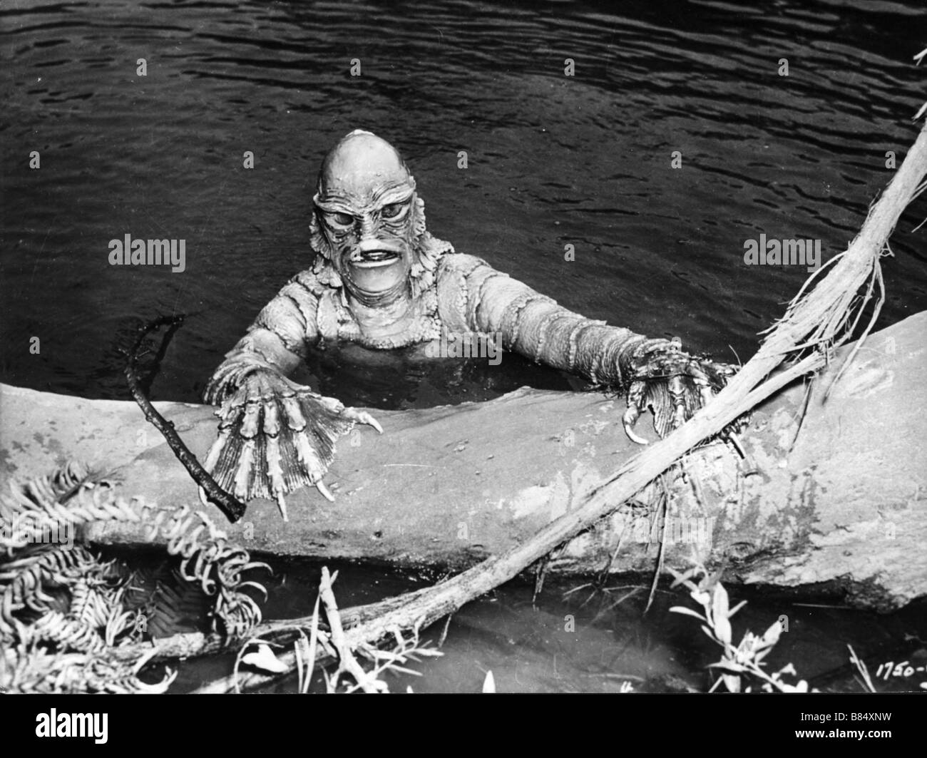 Creatura dalla Laguna Nera Anno : 1954 - USA Direttore : Jack Arnold Foto Stock