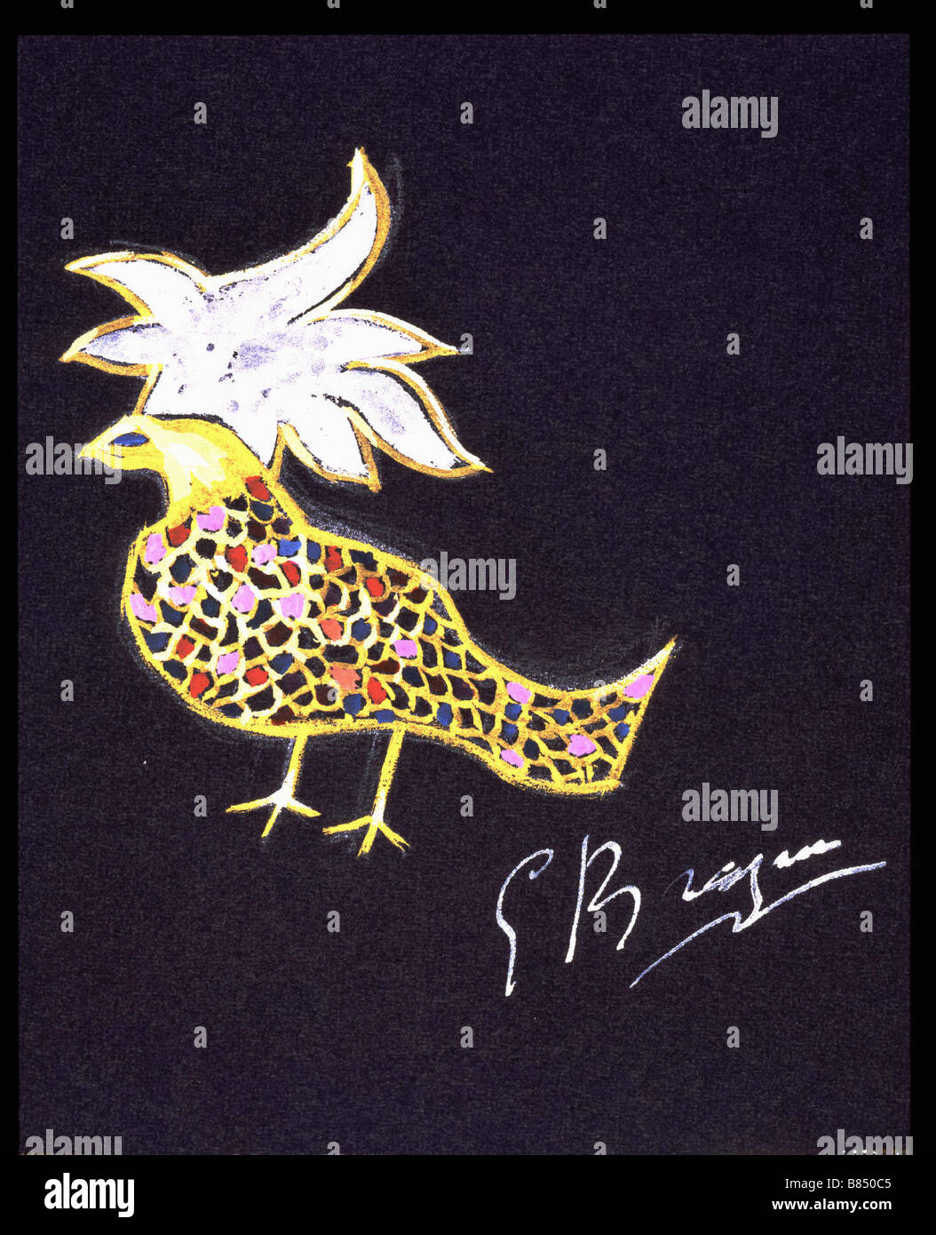 Braque, Phoenix Foto Stock