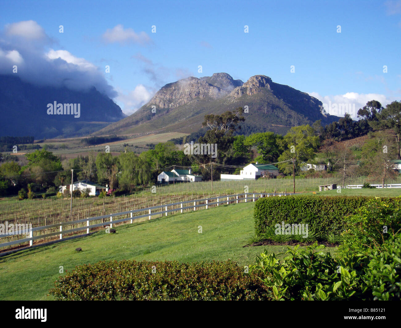 Winelands intorno a Franschhoek nel Cape Winelands in Sud Africa Foto Stock