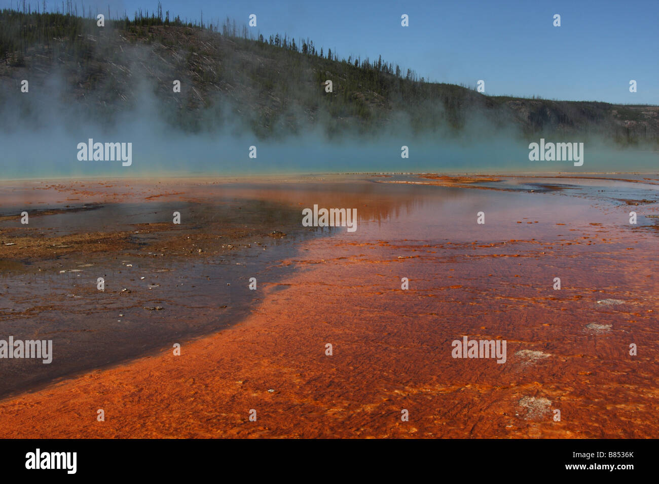Grand Prismatic Spring, Midway Geyser Basin, il Parco Nazionale di Yellowstone Foto Stock