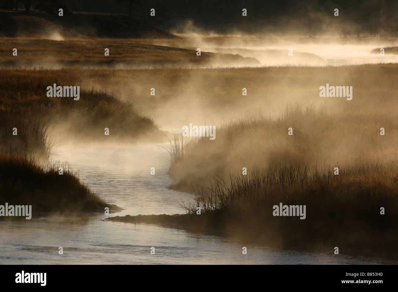 Alba nebbiosa mattina, Madison River Valley, il Parco Nazionale di Yellowstone, Wyoming Foto Stock