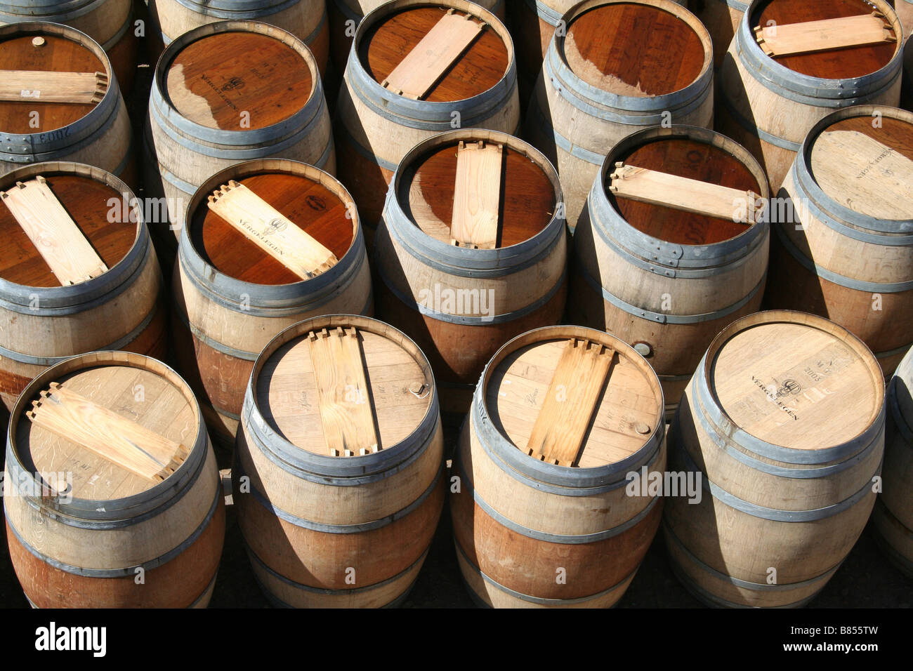 Botti da vino sul vigneto di Cape Winelands in Sud Africa Foto Stock
