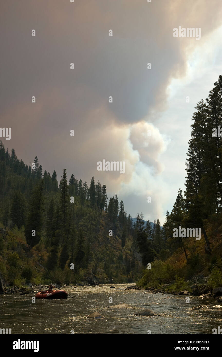 Forcella di metà del salmone con fumo Foto Stock