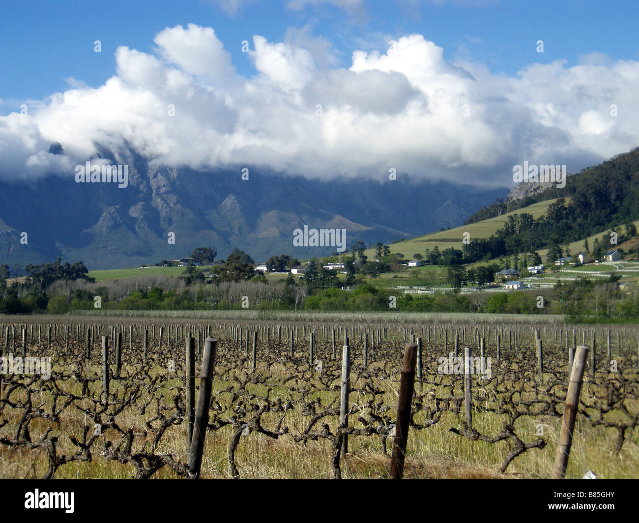 Winelands intorno a Franschhoek a Cape Winelands in Sud Africa Foto Stock