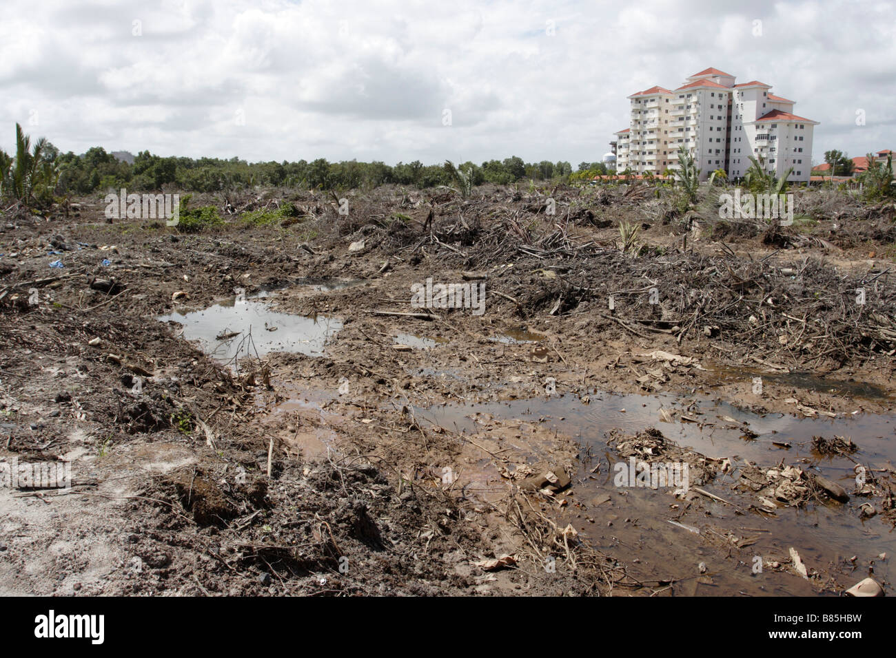 Terra di palude cancellata di alloggiamento per lo sviluppo in Kuala Terengganu, Malaysia. Foto Stock