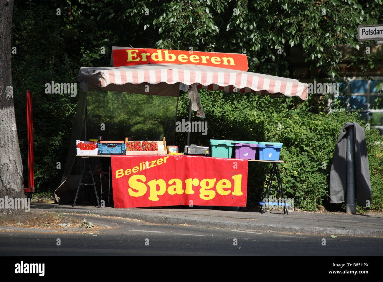 Berlin Beelitzer Spargel Foto Stock