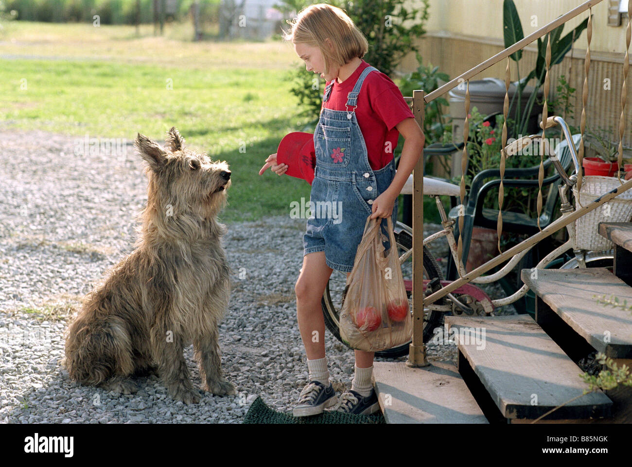 Winn-Dixie mon meilleur ami a causa di Winn-Dixie / Winn Dixie mon meilleur ami Année : 2005 - USA Annasophia Robb Direttore : Wayne Wang Foto Stock