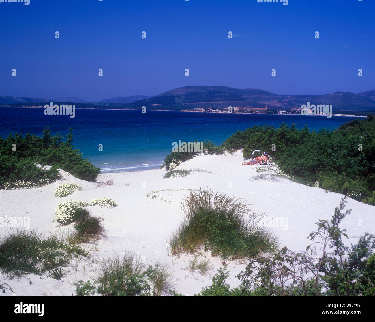 Dune Su Una Spiaggia Di Sabbia Bianca A Alghero A Nord