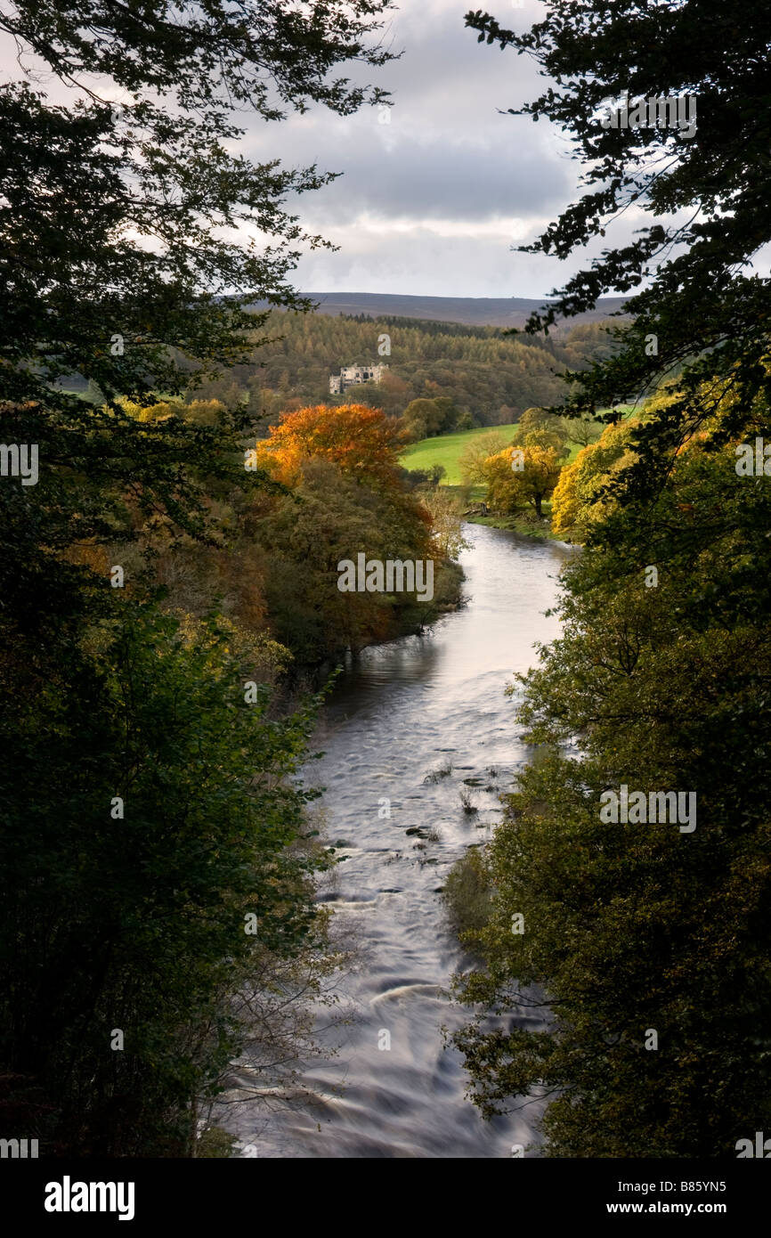 Il fiume Wharfe nel North Yorkshire, vicino a Bolton Abbey, con vista verso la rovina di Barden Torre. Foto Stock