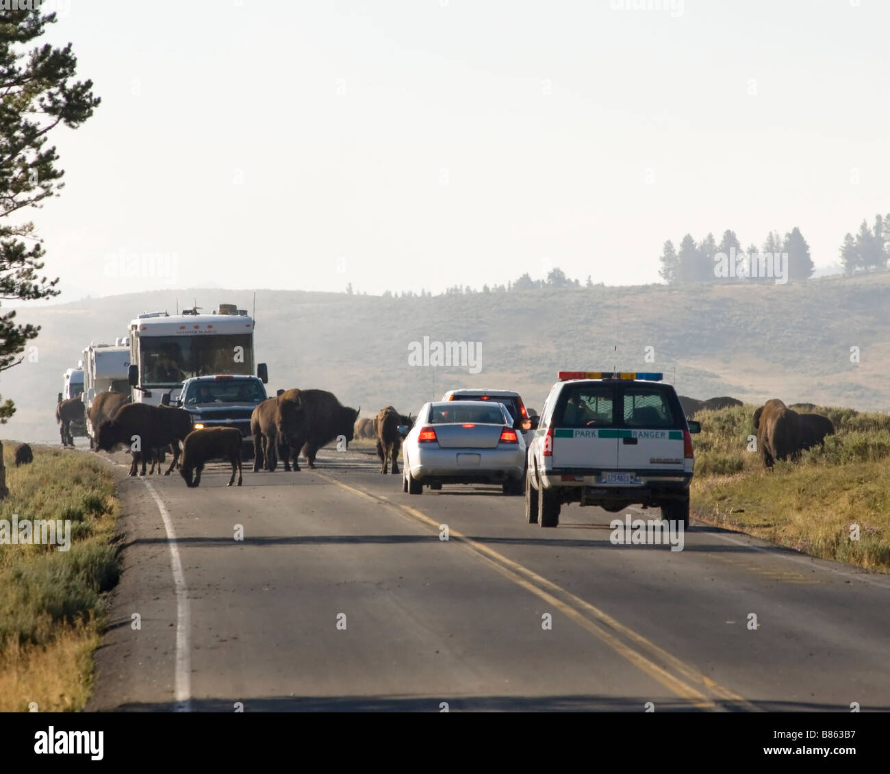 Blocca il traffico nella nebbia sull'autostrada attraverso la valle di Hayden nel Parco Nazionale di Yellowstone Foto Stock