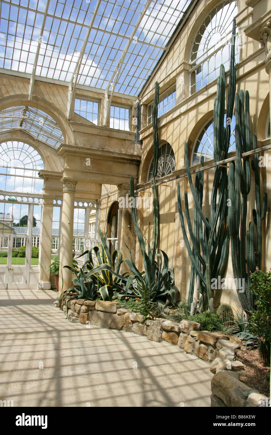 Il grande conservatorio costruito da Charles Fowler nel 1826, Syon House, Brentford, Middlesex, England, Regno Unito Foto Stock