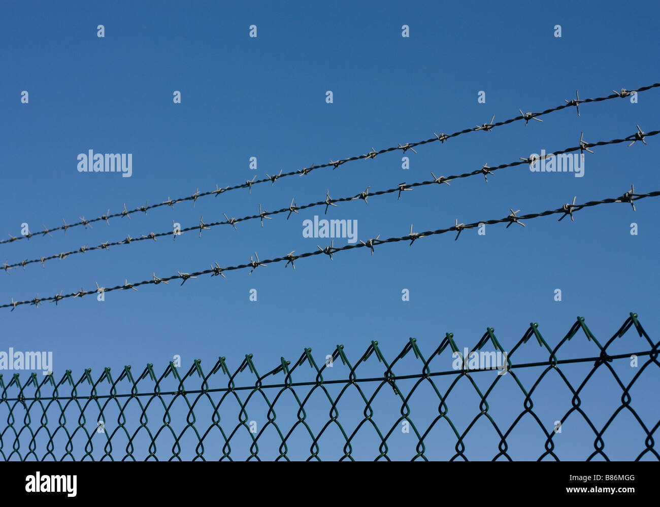 3 strisce di filo spinato sopra verde rivestito in plastica maglia di sicurezza scherma contro il cielo blu Foto Stock