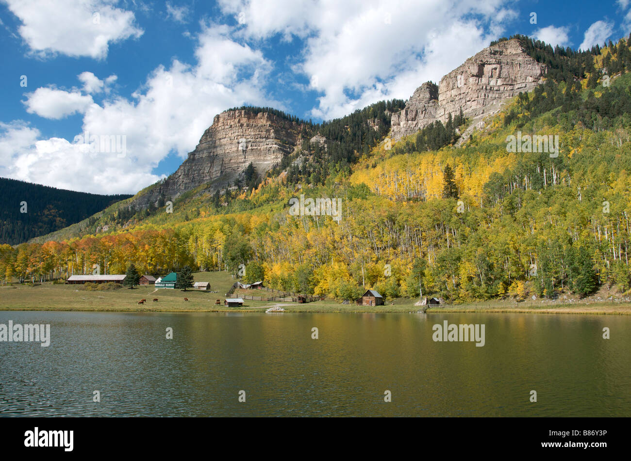 Colori autunnali di Aspen alberi San Juan National Forest Colorado USA Foto Stock