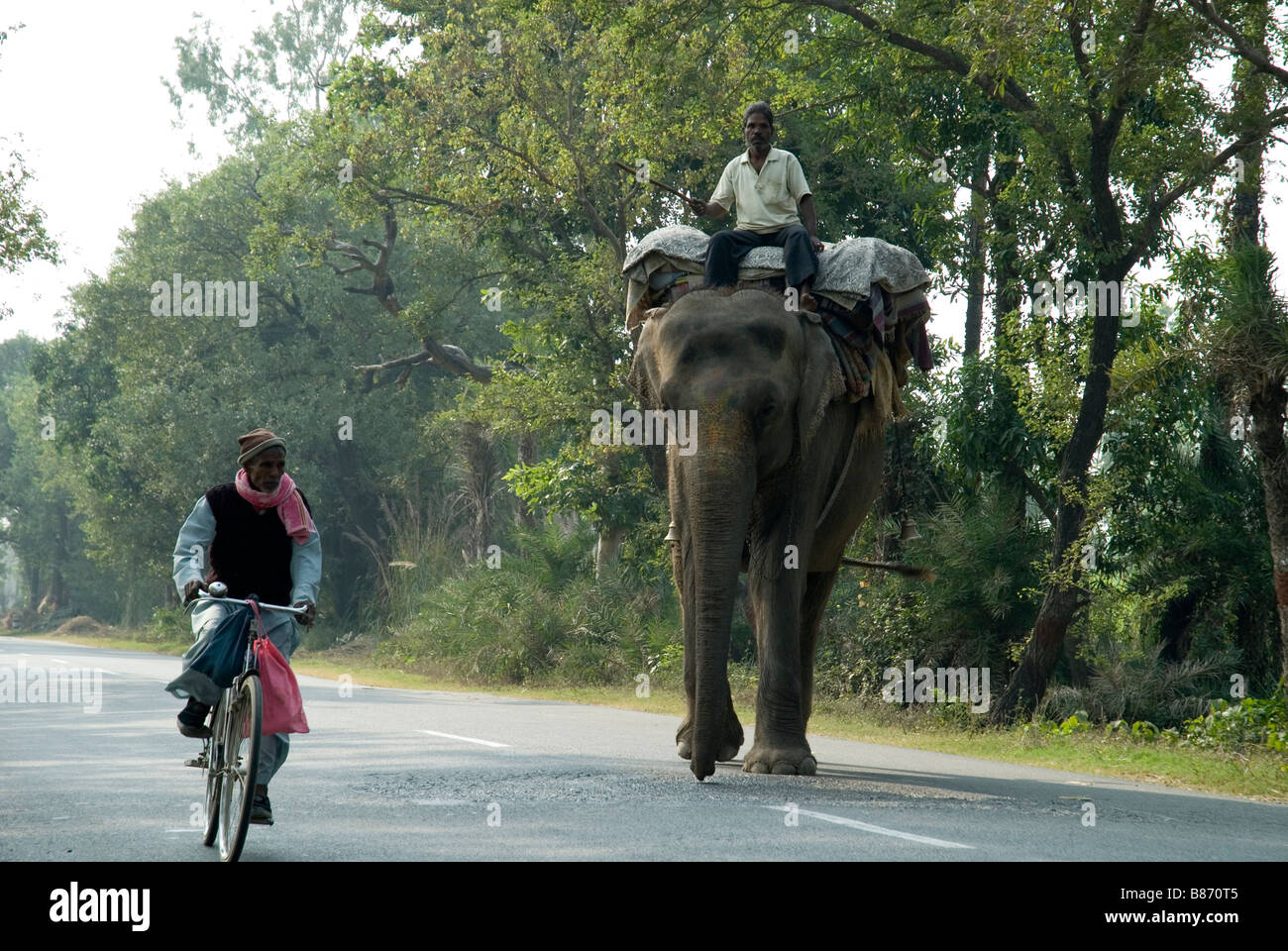 Country road , Uttarakhand , India del nord Foto Stock