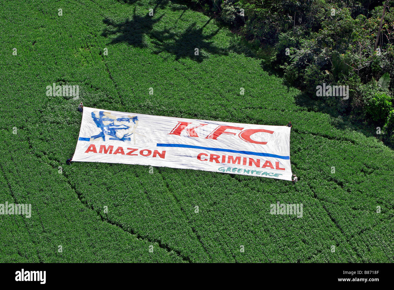 Greenpeace protesta contro una grande piantagione di soia disboscato area nella foresta pluviale amazzonica del Brasile. Foto Stock