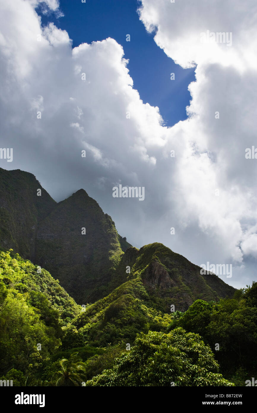 Iao Valley State Park Maui Hawai'i Foto Stock
