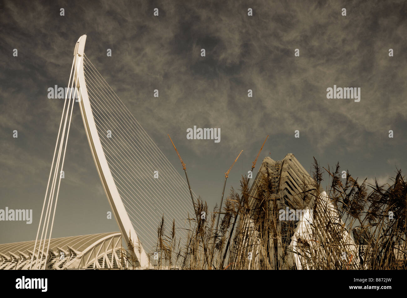 'L'Assut de l'O' bridge. Città delle Arti e delle Scienze. Valencia. Spagna Foto Stock