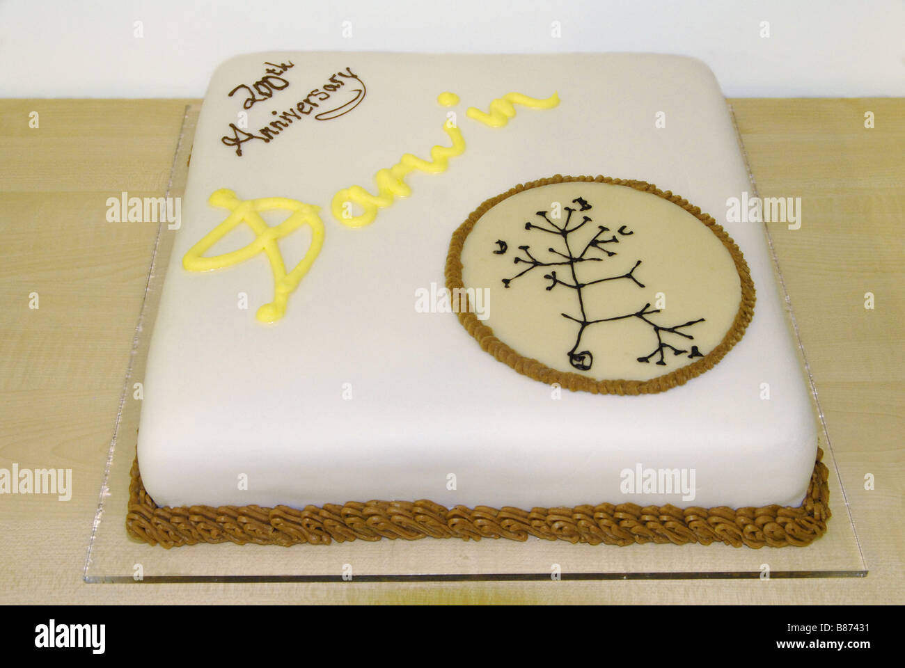 Una torta di compleanno a Cambridge University in onore del bicentenario della nascita di Charles Darwin Foto Stock