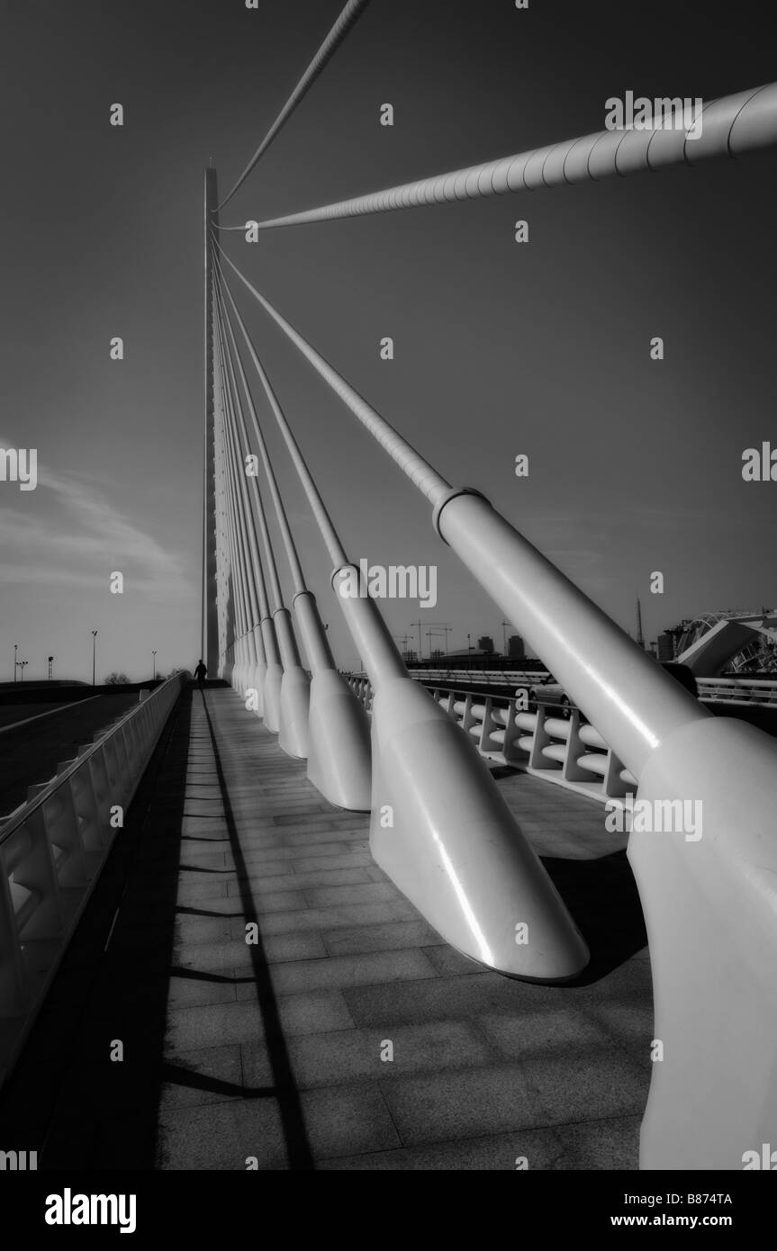 'L'Assut de l'O' bridge e Museu de les Ciències Príncipe Felipe (Museo della Scienza). Città delle Arti e delle Scienze. Valencia. Spagna Foto Stock