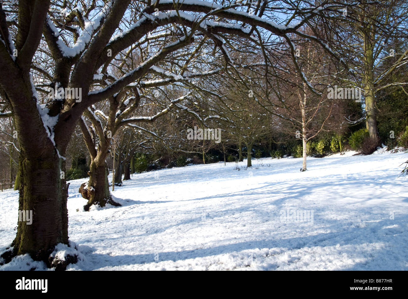 Scena di neve in Chesterfield Derbyshire dopo la nevicata England Regno Unito Febbraio 2009 Foto Stock