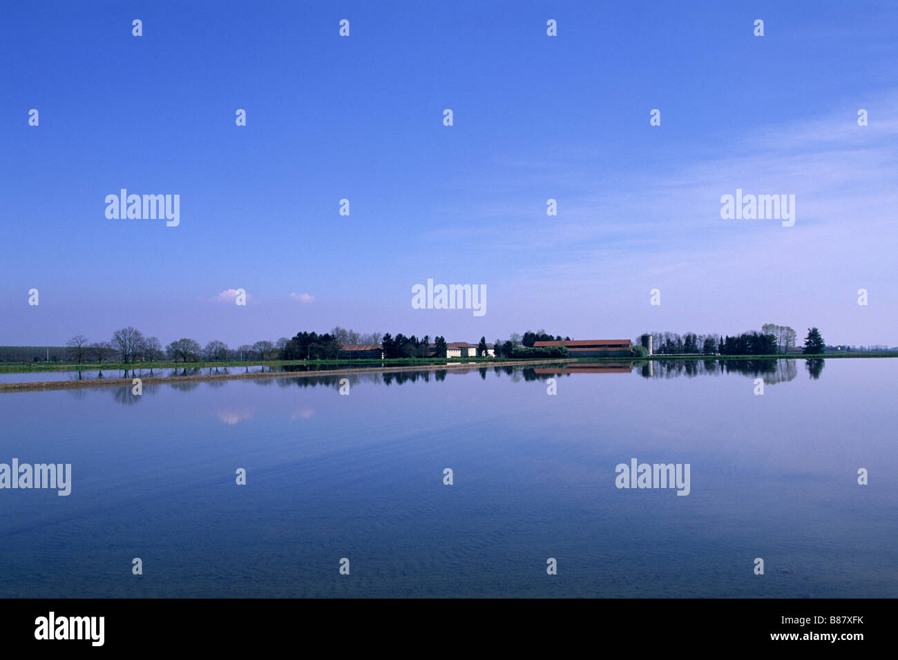 Italia, Piemonte, Vercelli, risaie Foto Stock