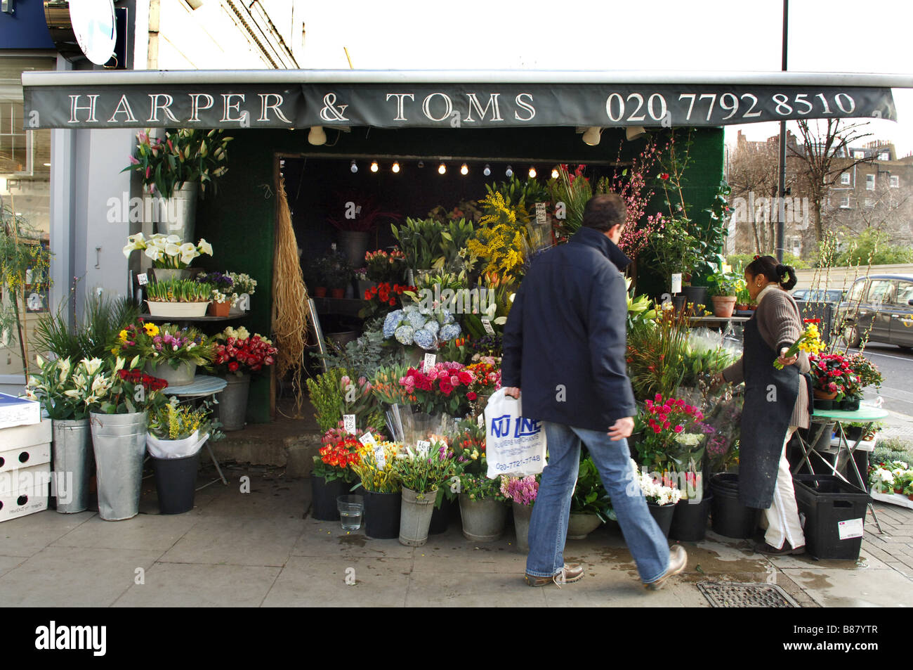 Selezione di fiori diversi per la vendita in Harper e Tom a Elgin Crescent, un fioristi W11. Foto Stock