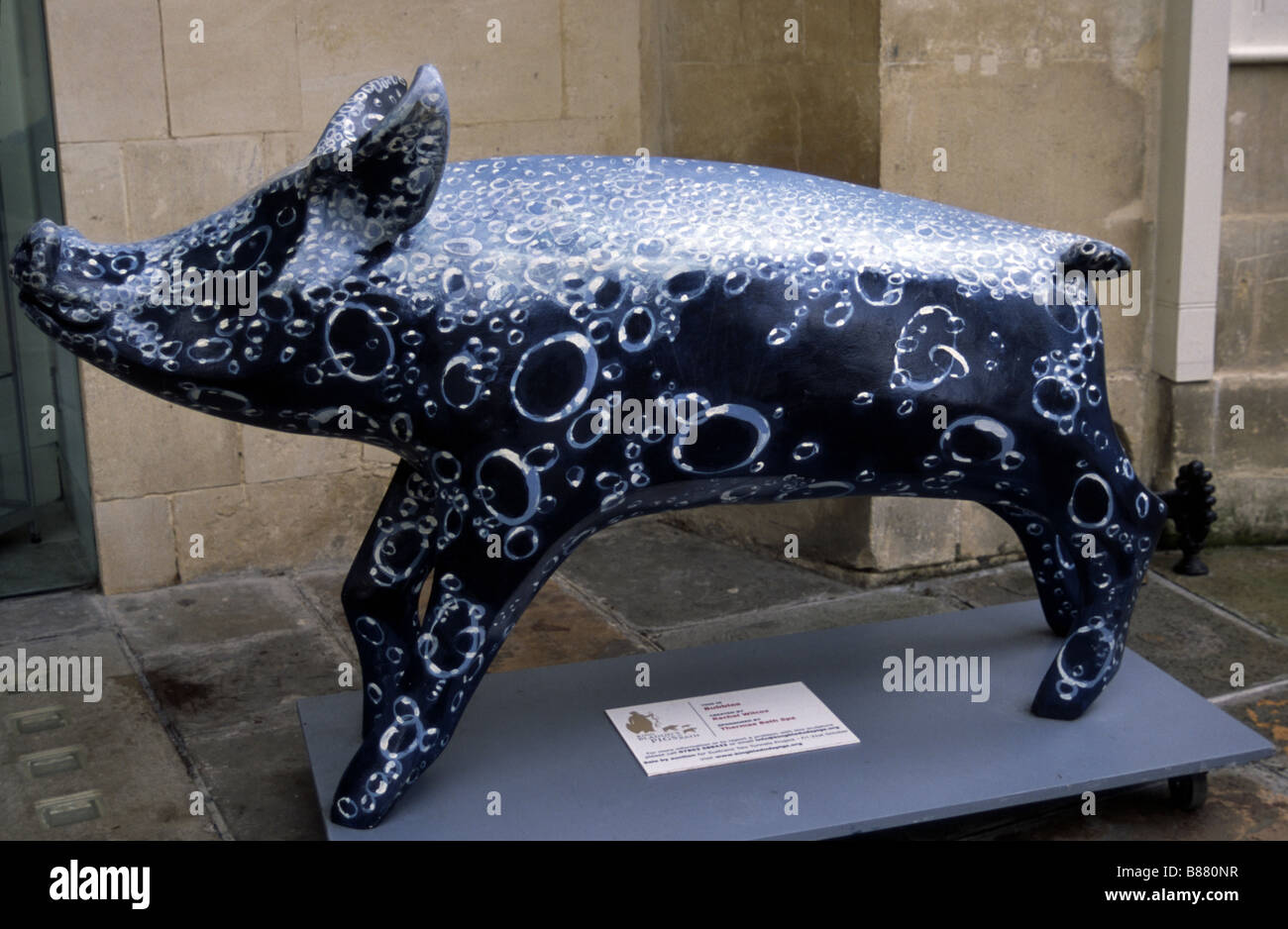 Bolle di maiale, uno dei suini Bladuds al di fuori delle Thermae Spa, Vasca Spa Somerset REGNO UNITO Foto Stock
