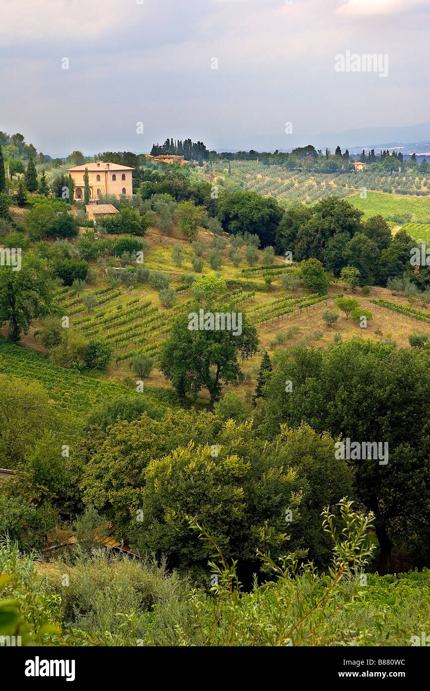 Una vista serena di una villa toscana e vigneti in Toscana Italia Foto Stock