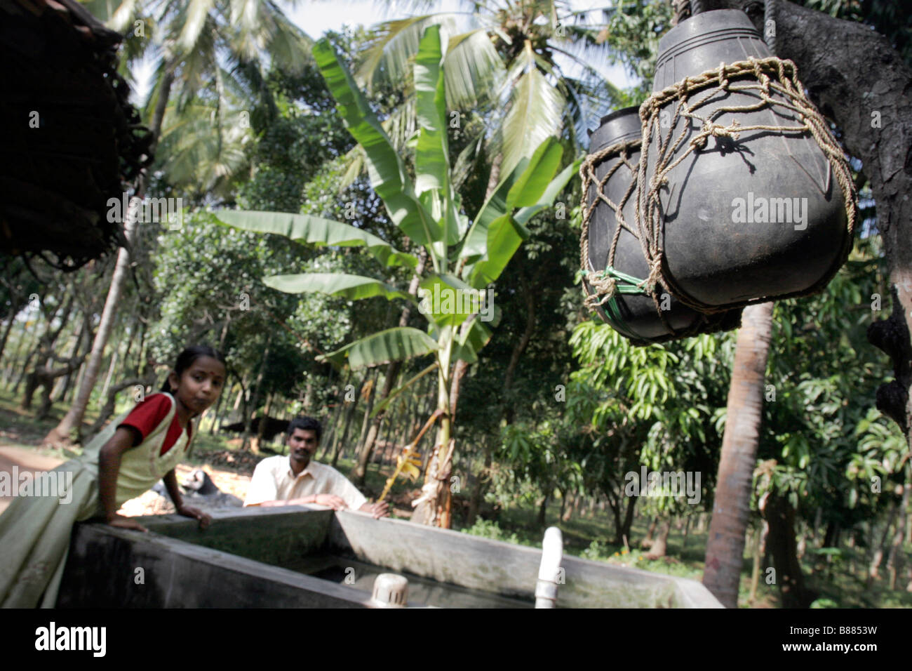 Un inquinato bene con acqua non potabile in Plachimada in Kerala in India Foto Stock