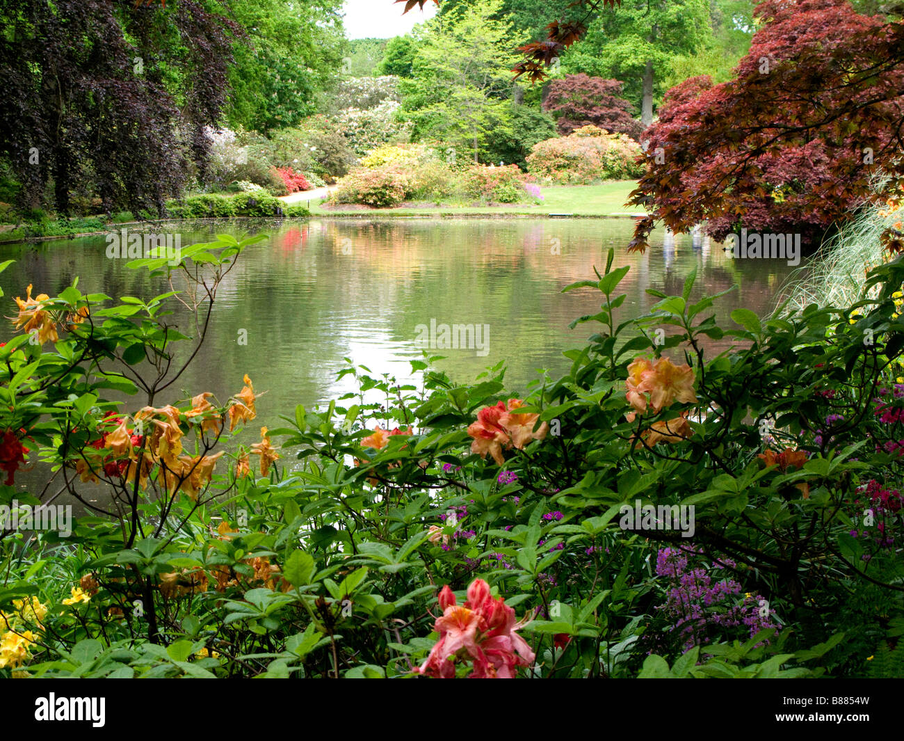 Lo stagno ornamentale Exbury Giardini Botanici in Hampshire, Regno Unito Foto Stock