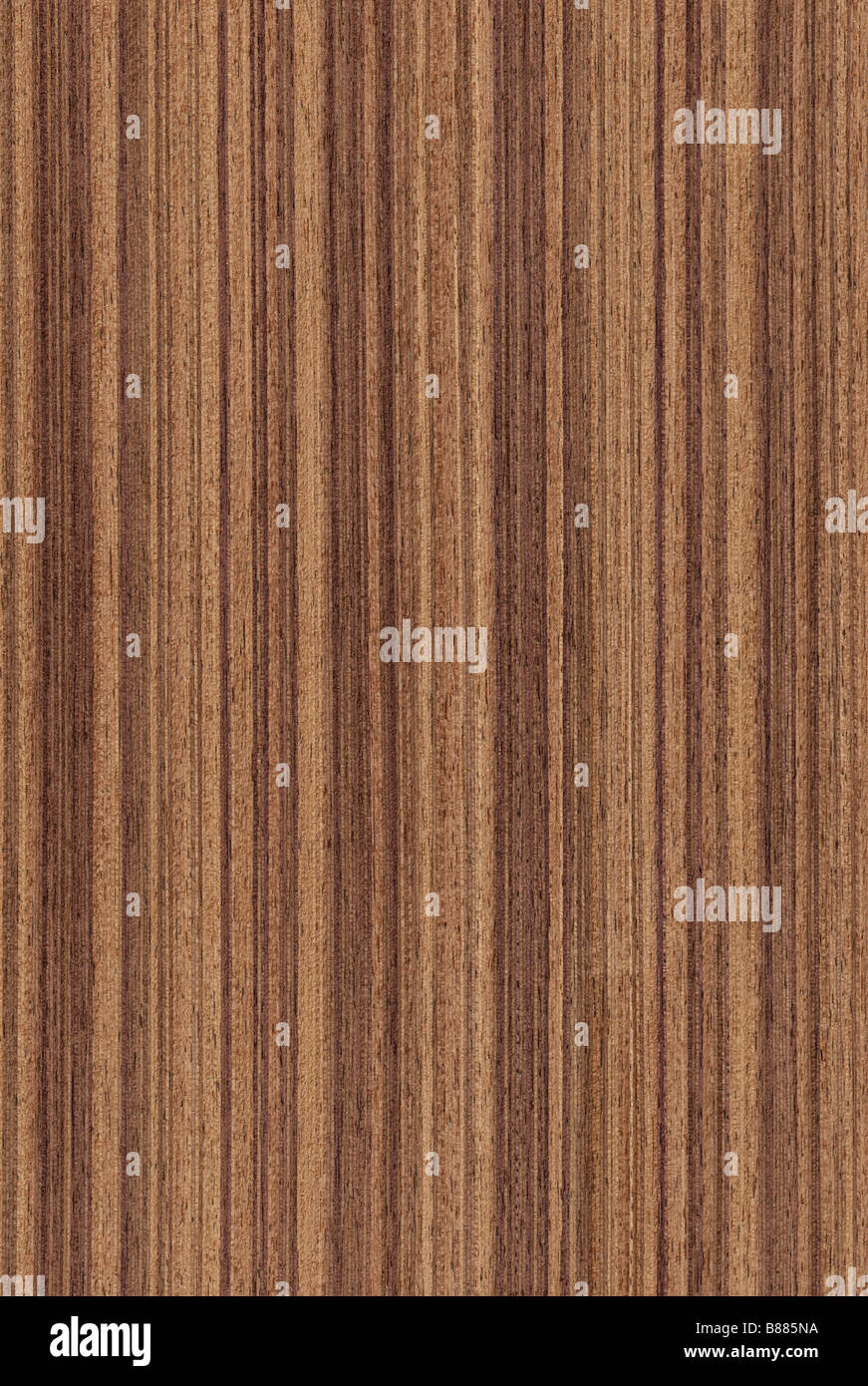 Walnut veneer texture immagini e fotografie stock ad alta risoluzione ...