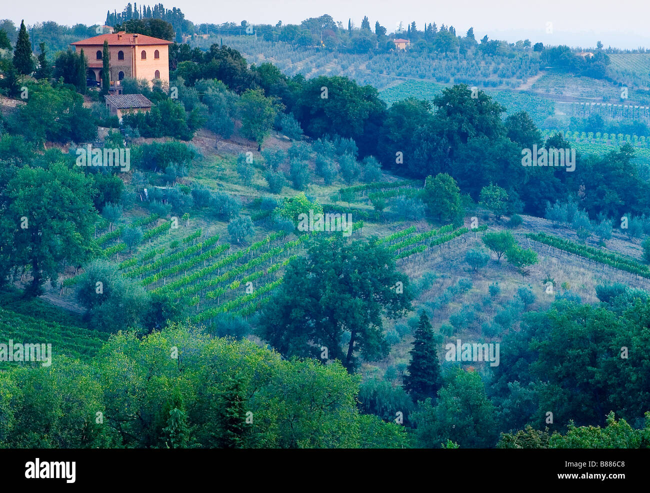 Una vista serena di una villa toscana e vigneti in Toscana Italia Foto Stock