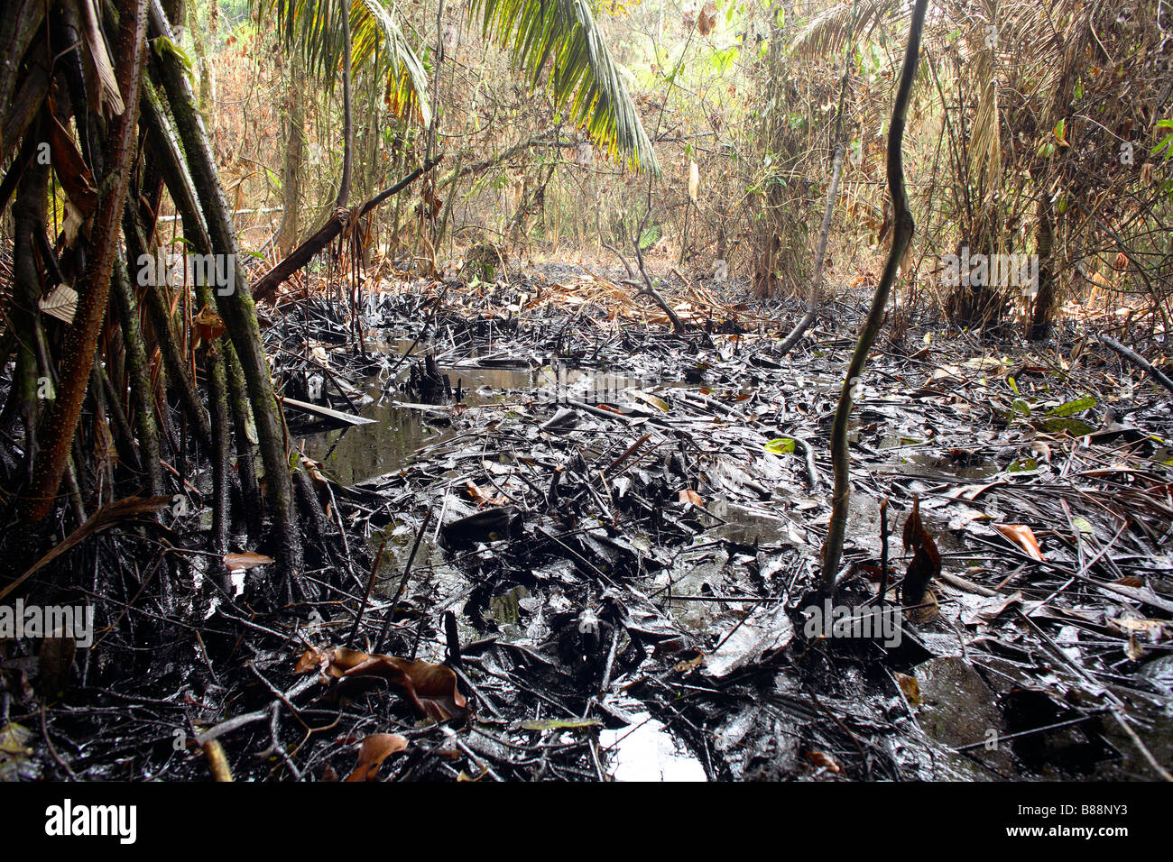 Fuoriuscita di olio da un pozzo nella foresta pluviale tropicale, Ecuador Foto Stock