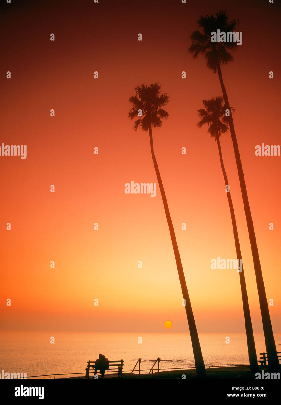 Giovane seduto sul banco sotto le palme al tramonto in Laguna Beach California Foto Stock