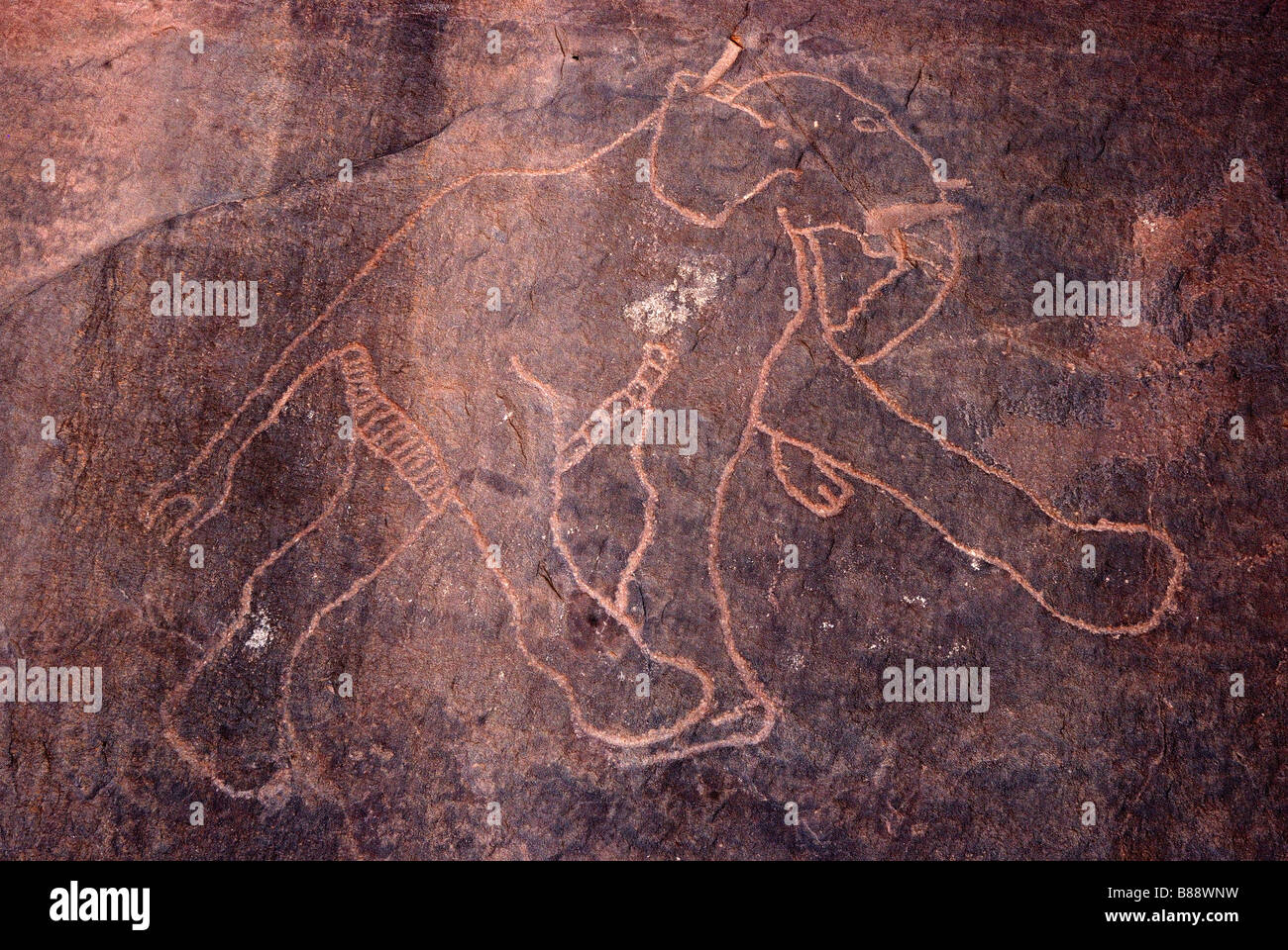 Le incisioni rupestri di Wadi Tashwinat Foto Stock