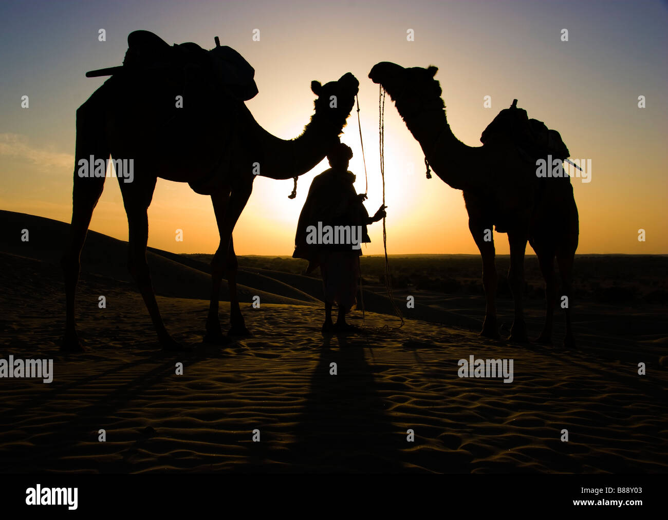 Indian uomo cammello proprietario gestore Khuri deserto del Rajasthan in India Foto Stock