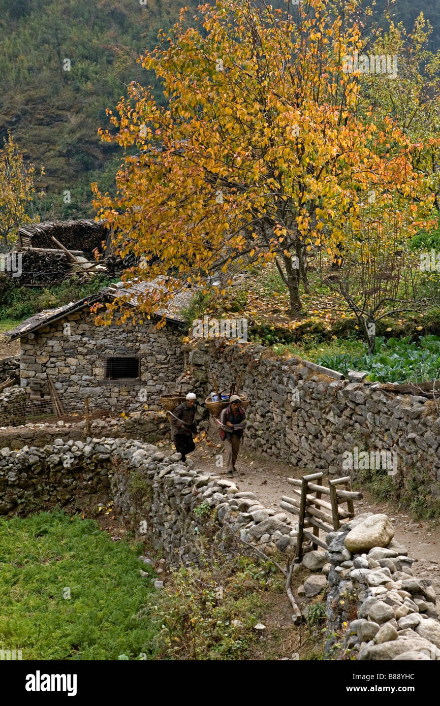 Il nepalese facchini che trasportano merci vicino villaggio Chamoa nel Parco Nazionale di Sagarmatha regione Khumbu Nepal Foto Stock