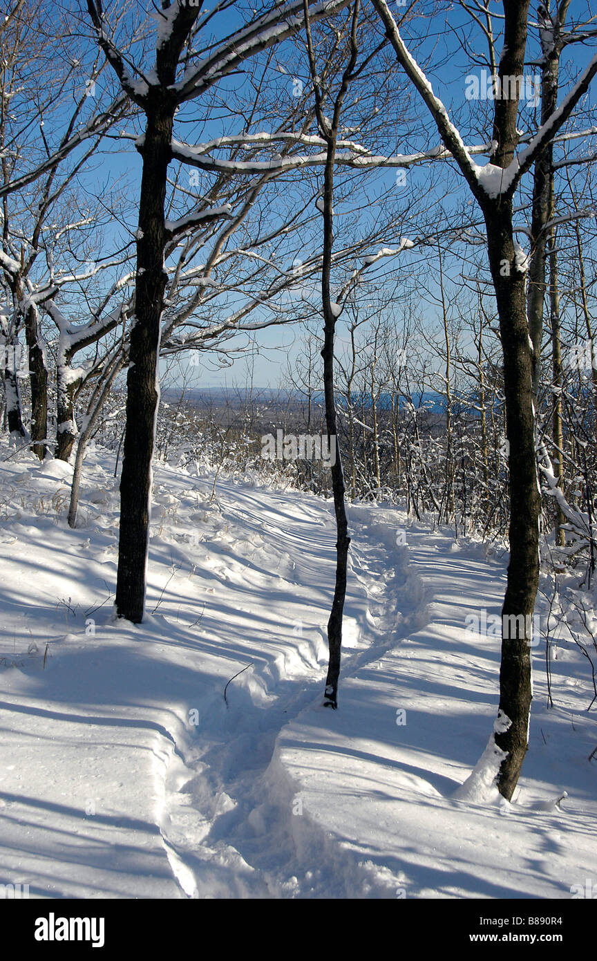 Itinerari segnalati per racchette da neve sulla cima della montagna Oberg, Minnesota North Shore. Foto Stock