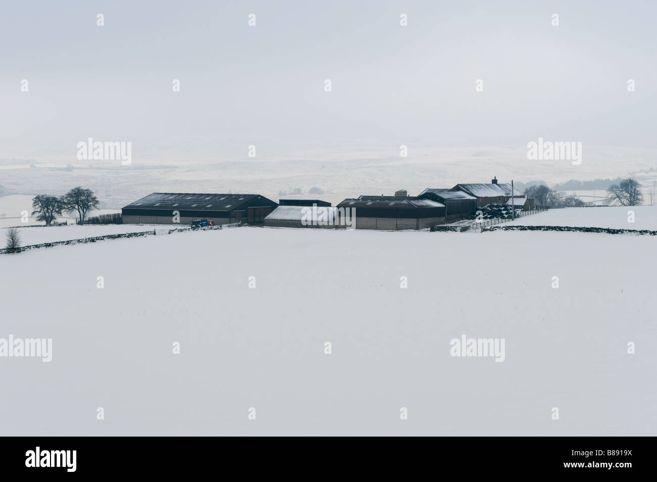 Snowcovered paesaggio di campagna Foto Stock