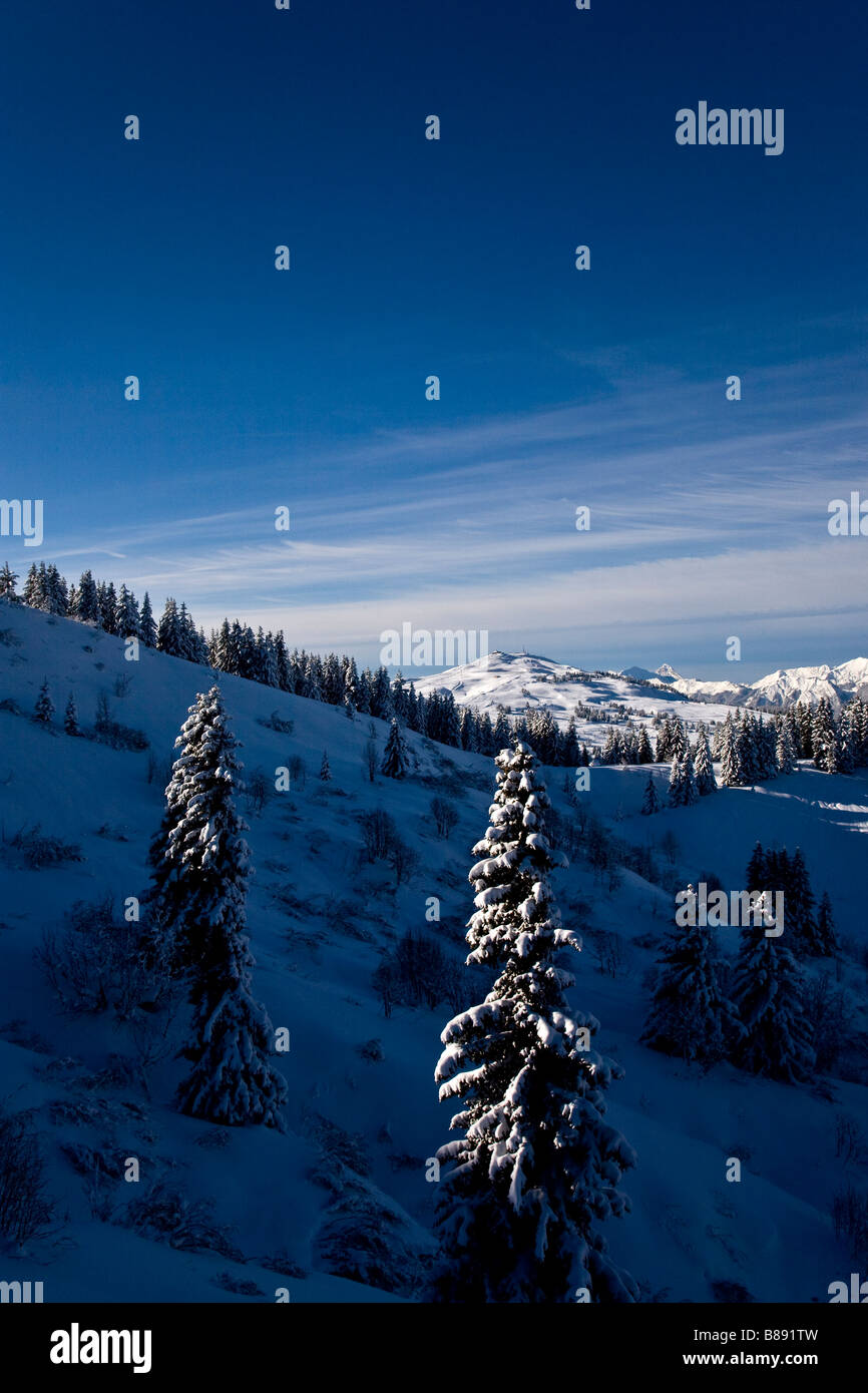 Vista dalla pista da sci Les Saises Alpes francese L'espace Diamant Francia Foto Stock