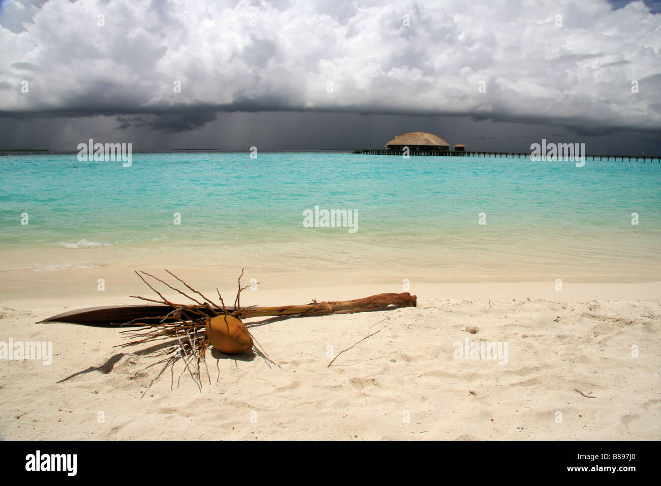 Thunder-storm sopra ISOLA MALDIVIANA. Onshore windfallen cocco sul ramo stabilisce. Foto Stock