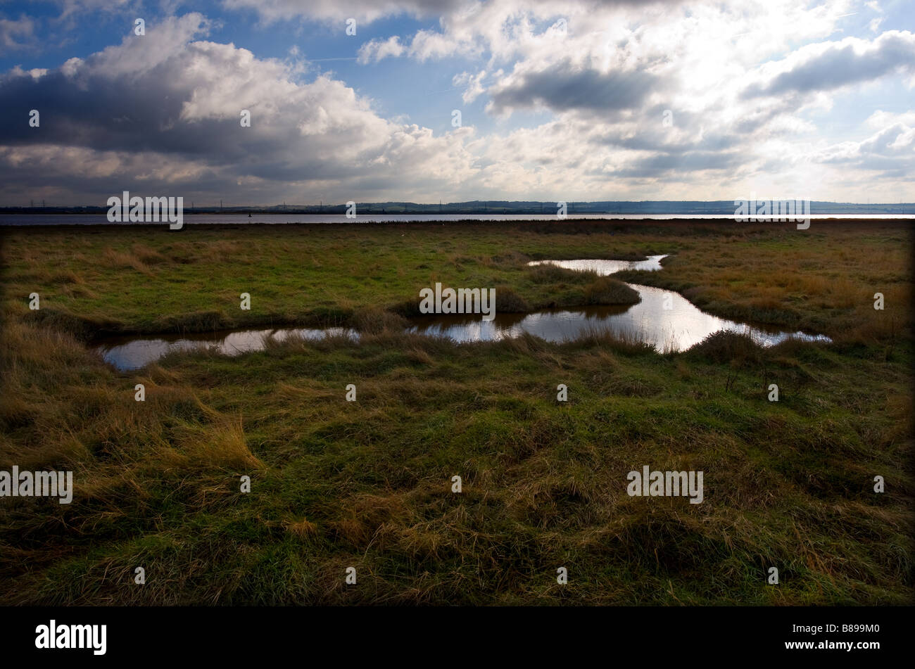 Un riempito di acqua canale sul foreshore del fiume Tamigi. Foto Stock