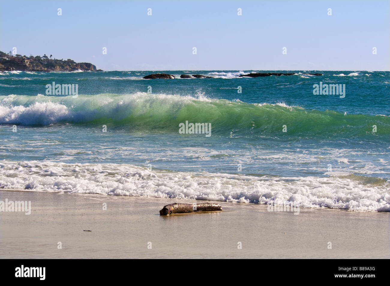 Driftwood sulla Laguna Beach Foto Stock