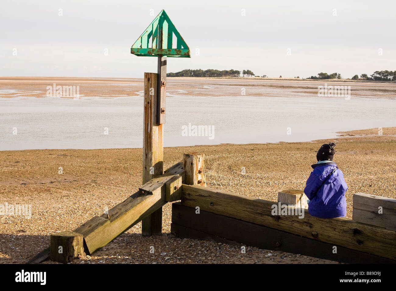 Donna seduta su un groyne si affaccia al mare Foto Stock